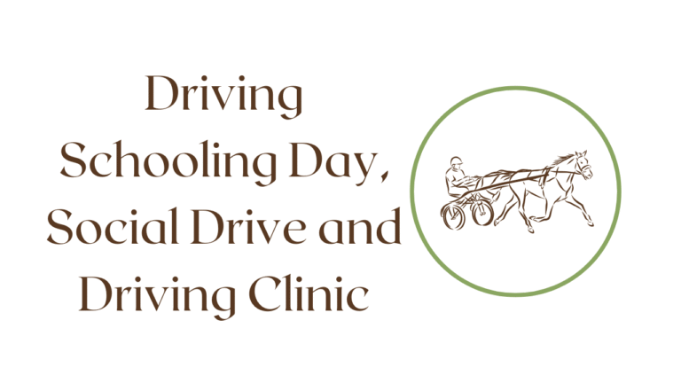 Driving Schooling Day, Social Drive and Driving Clinic