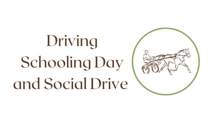 Driving Schooling Day and Social Drive