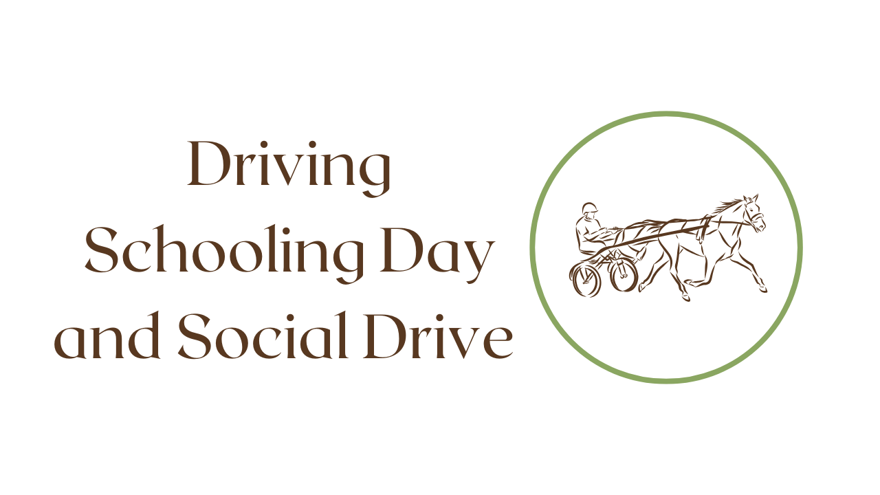 Driving Schooling Day and Social Drive