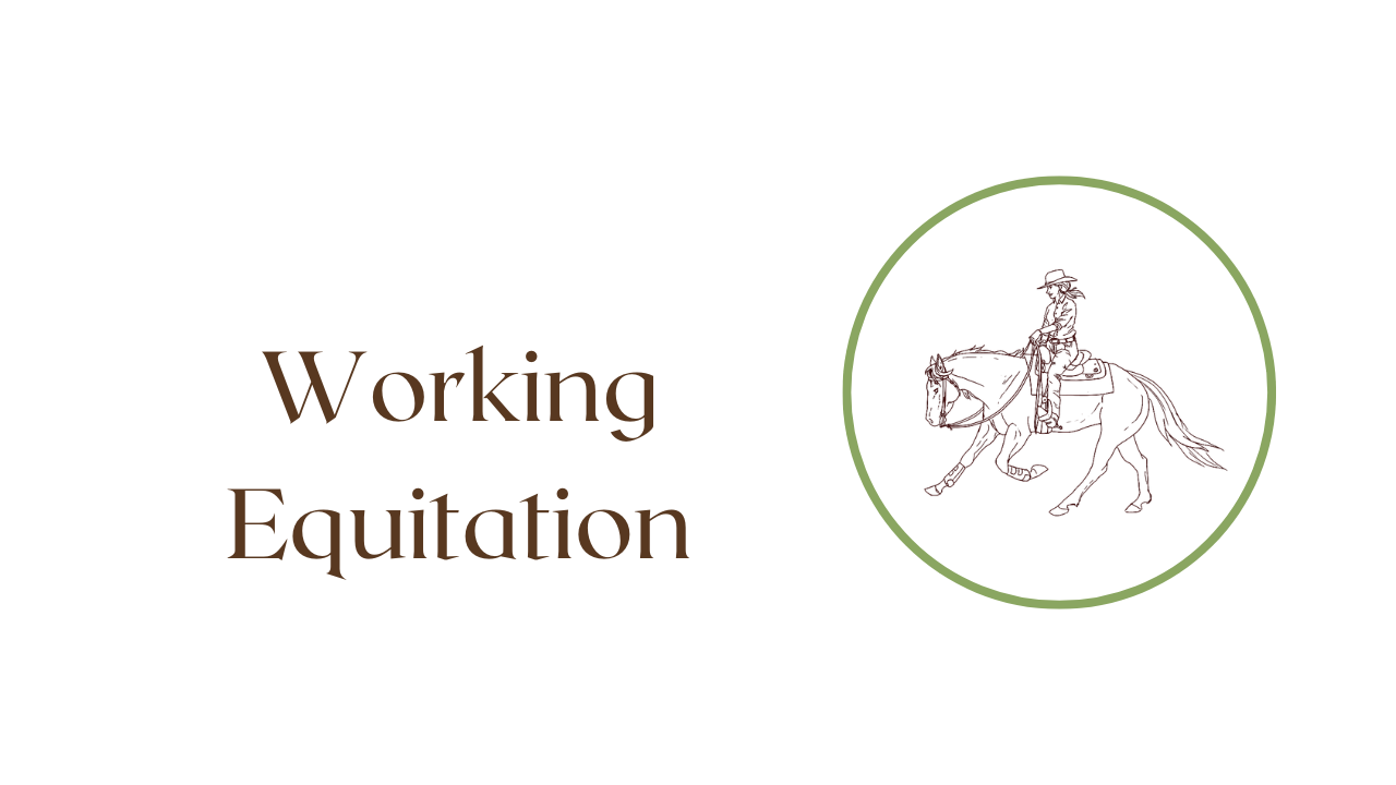 Working Equitation