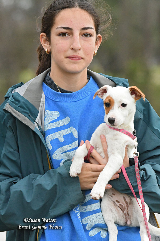 Volunteer at Carolina Horse Park
