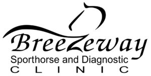 Breezeway logo