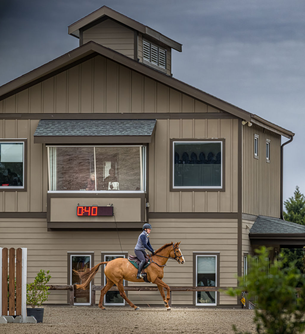 Audrey Wiggins riding Chantilly Rouge in the SJ division in Pipe Opener at Carolina Horse Park on 2025-02-15.