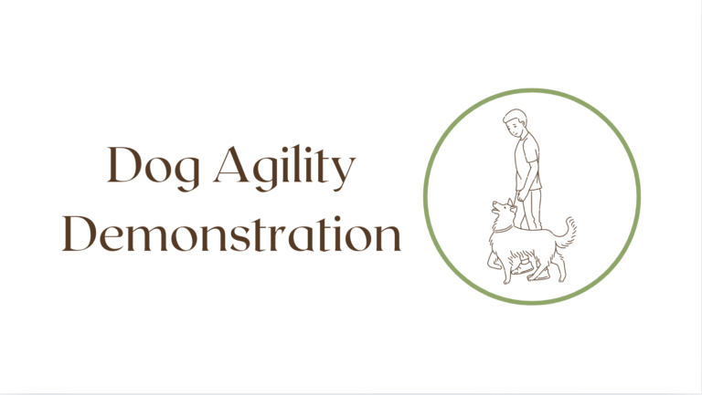 Dog Agility Demonstration