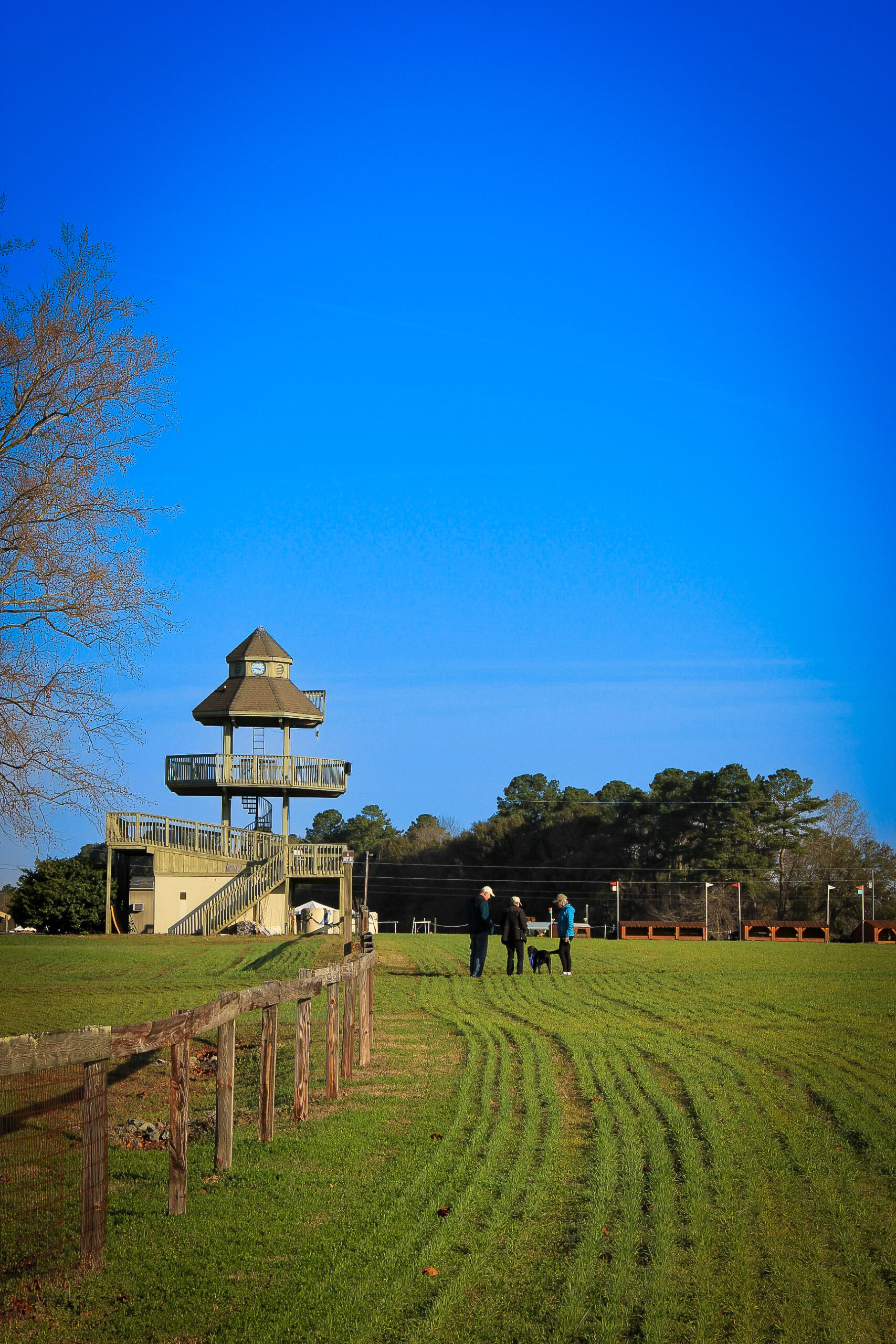Carolina Horse Park | Photo by Caroline J. Strickland