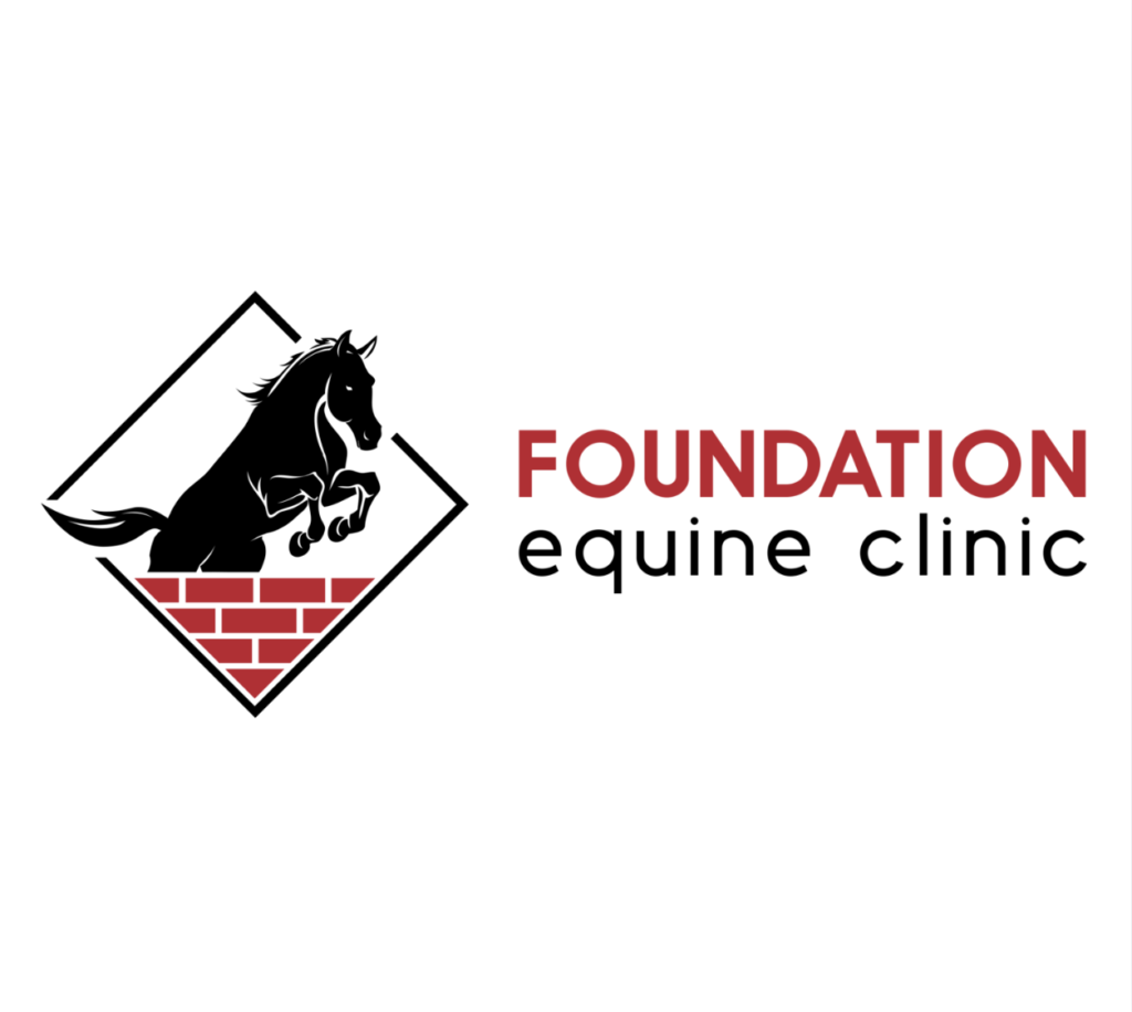 Foundation Equine Clinic