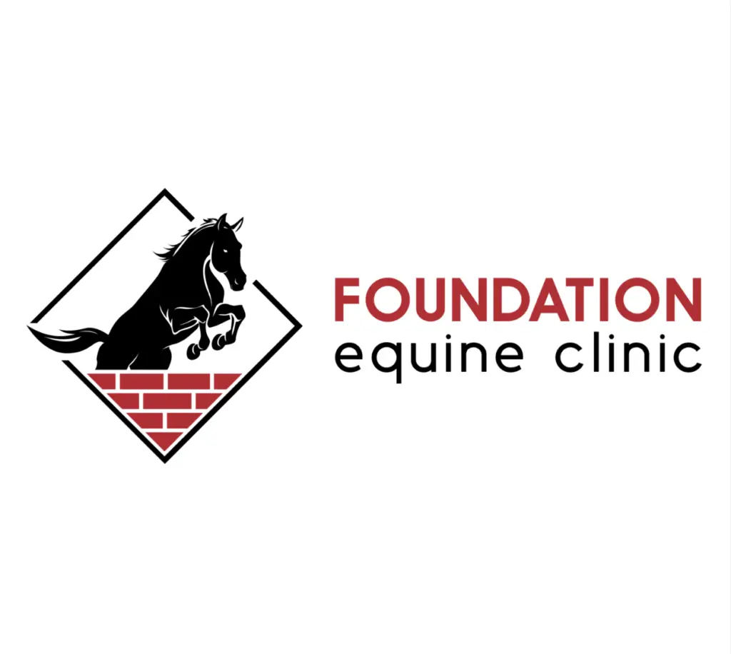 Foundation Equine Clinic
